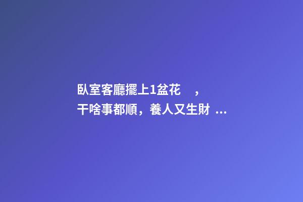 臥室客廳擺上1盆花，干啥事都順，養人又生財！